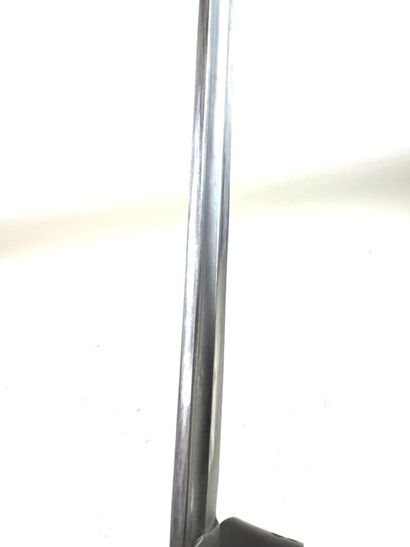 Autriche-Hongrie, fin XIXe - début XXe.
Sabre...