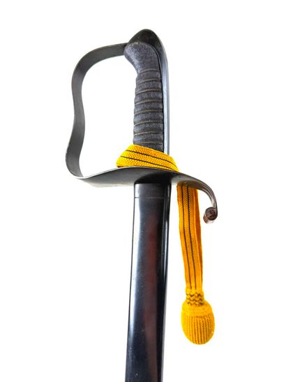 Autriche-Hongrie, fin XIXe - début XXe.
Sabre...