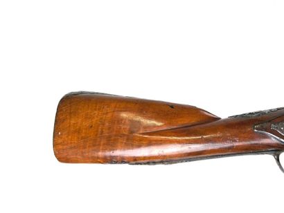 Allemagne, XIXème.
Longue canardière à percussion...