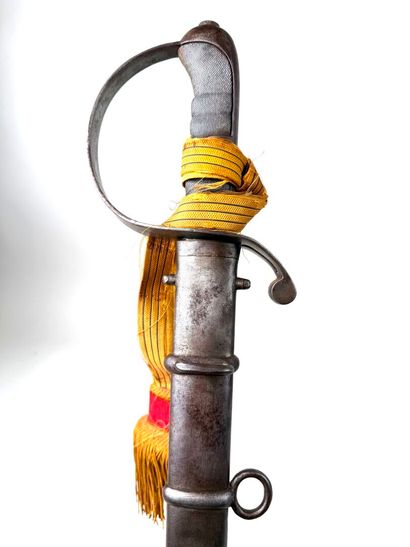 Autriche-Hongrie, fin XIXe - Début XXe.
Sabre...