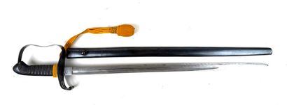 Autriche-Hongrie, fin XIXe - début XXe.
Sabre...
