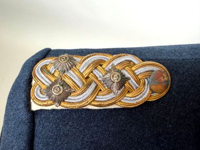 Germany, 2nd GM.
Generaloberst LW exit coat.
In...