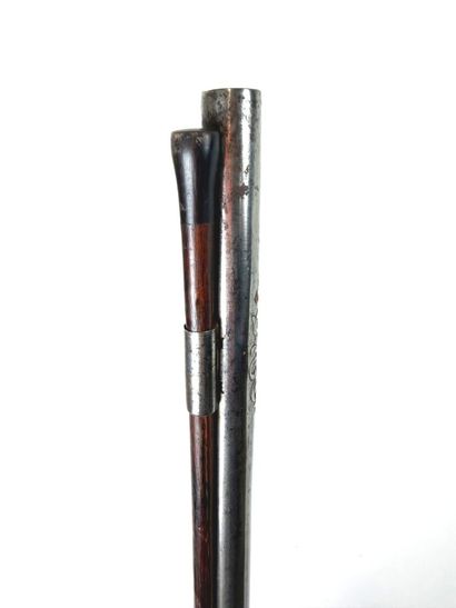 Allemagne, XIXème.
Longue canardière à percussion...