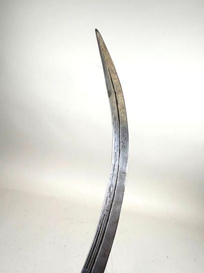 Empire Indo-Persan, XIXème.
Sabre dit Talwar.
Monture...