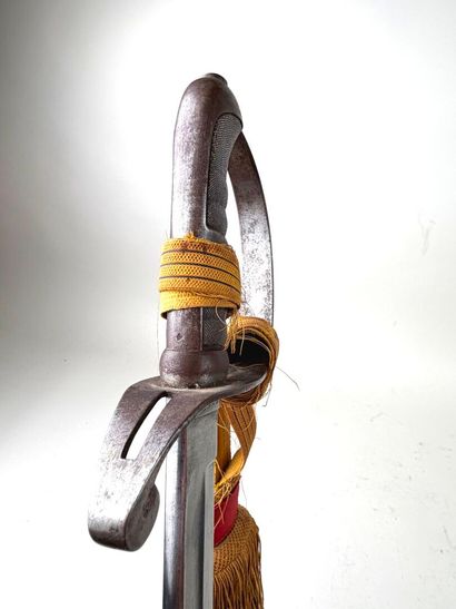 Autriche-Hongrie, fin XIXe - Début XXe.
Sabre...