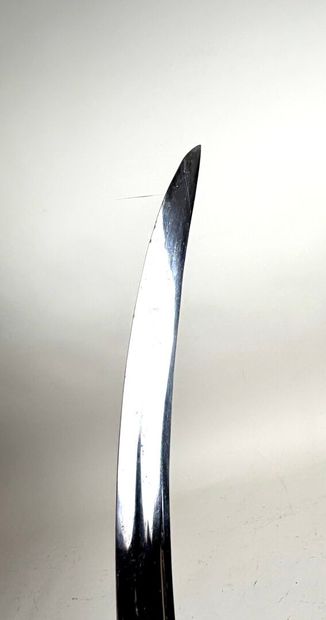 Empire Indo-Persan, 2nd moitié XIXème.
Sabre...