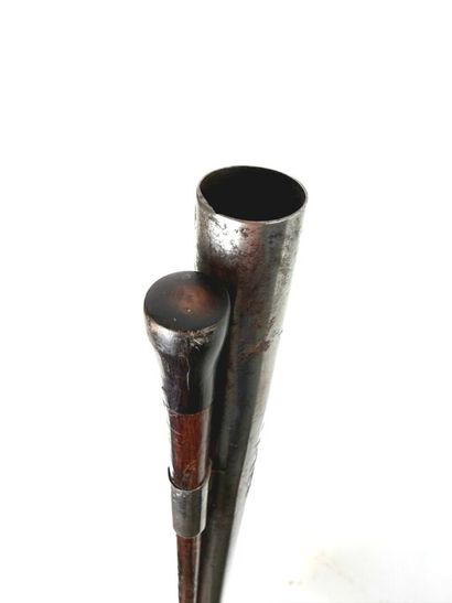 Allemagne, XIXème.
Longue canardière à percussion...