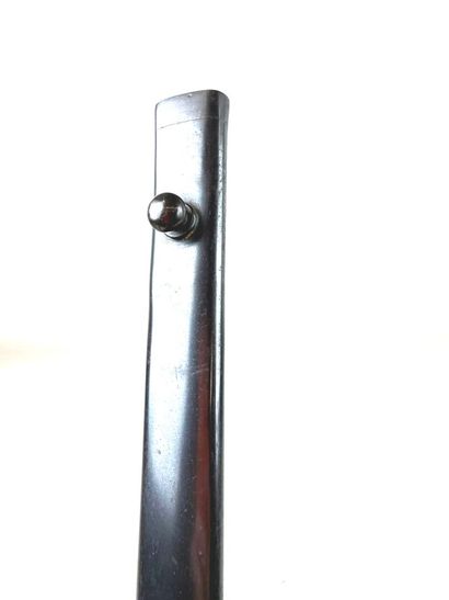 Autriche-Hongrie, fin XIXe - début XXe.
Sabre...