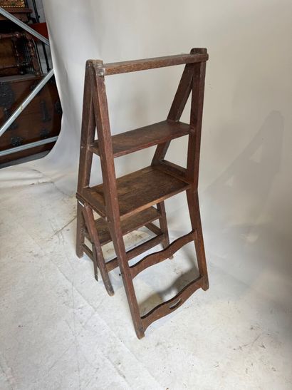 Chair forming a library stool in molded wood...