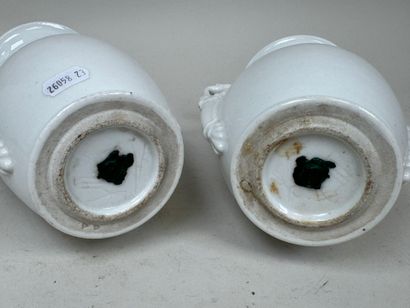 Paire de petits vases balustres en porcelaine...