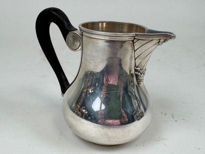 Self-serving silver jug 950/1000, Minerve...