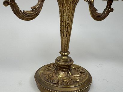 Paire de candélabres en bronze doré et ciselé...