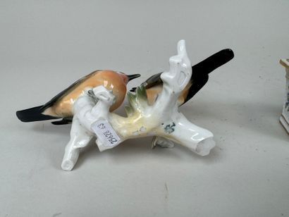 Karl ENS (1802-1865), d'après.
Couple d'oiseaux...