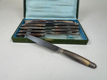 Série de 12 couteaux de table, les manches...