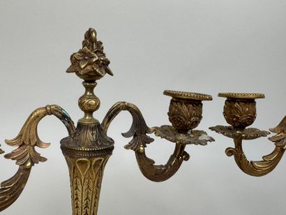 Paire de candélabres en bronze doré et ciselé...