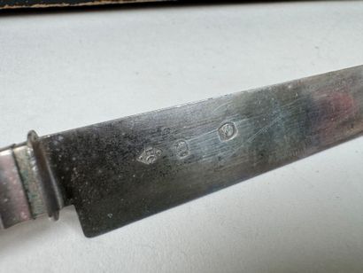 +
Set of 12 entremet knives, mother-of-pearl...