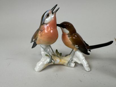 Karl ENS (1802-1865), d'après.
Couple d'oiseaux...