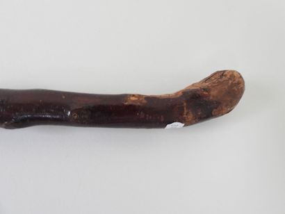Canne en bois sculpté.
L. 100 cm.