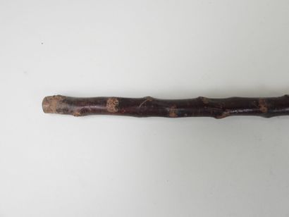 Canne en bois sculpté.
L. 100 cm.