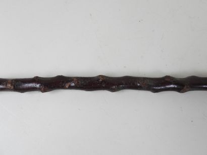 Canne en bois sculpté.
L. 100 cm.
