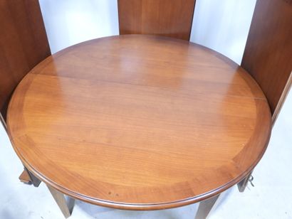 Table ovale avec trois rallonges et série...