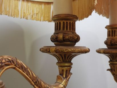 Paire de flambeaux en régule doré à deux...