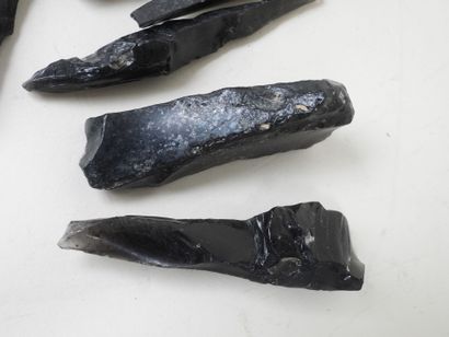 Lot de pierres taillées.
L. 16,5 cm (la plus...