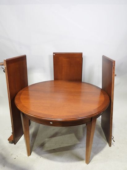 Table ovale avec trois rallonges et série...