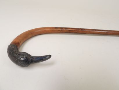 Canne en bois, le pommeau en argent 800/1000e...