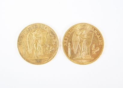Deux pièces de 20 francs en or, Génie, 1895...