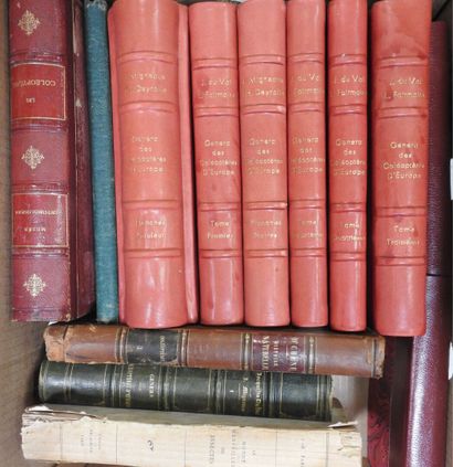 [ENTOMOLOGY]
13 volumes from the 19th century...