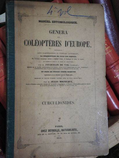 [ENTOMOLOGY]
13 volumes from the 19th century...