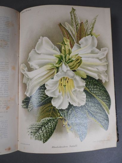 Revue Horticole
Paris, Librairie Agricole,...