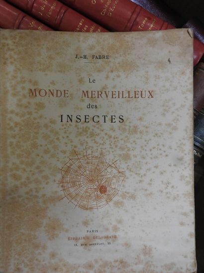 [ENTOMOLOGY]
13 volumes from the 19th century...