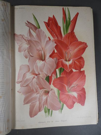 Revue Horticole
Paris, Librairie Agricole,...