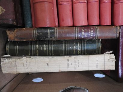 [ENTOMOLOGY]
13 volumes from the 19th century...