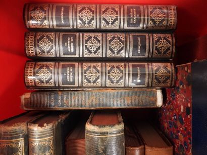Approximately 14 bound volumes from the 19th...