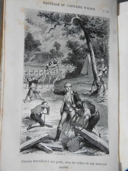 Approximately 18 volumes in 19th-century...