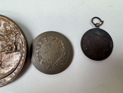 Lot de médailles en bronze et bronze argent...