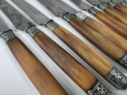MENAGER à Chartres.
Série de 12 couteaux...