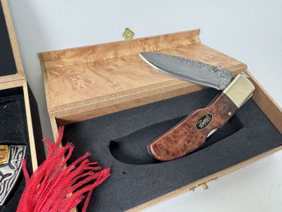 Collection de 10 couteaux et dagues modernes...