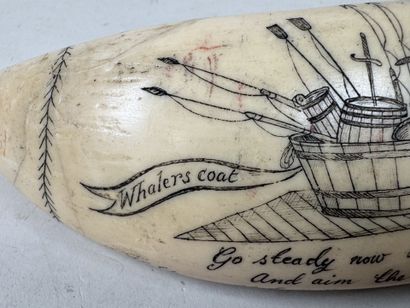Réplique d'un SCRIMSHAW en résine à l'imitation...