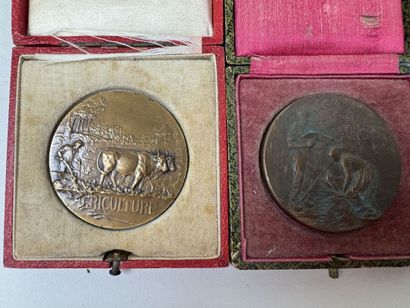 Lot de médailles en bronze et bronze argent...