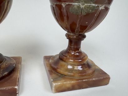 Paire de vases Médicis en albâtre à décor...