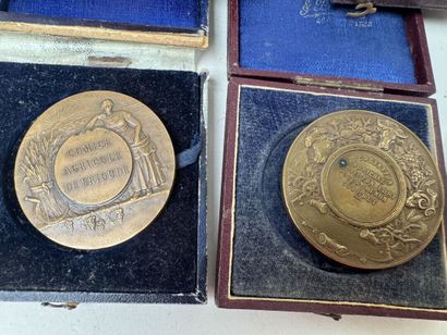 Lot de médailles en bronze et bronze argent...