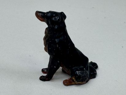 Bronze de Vienne.
Chien.
Petit sujet.
H....