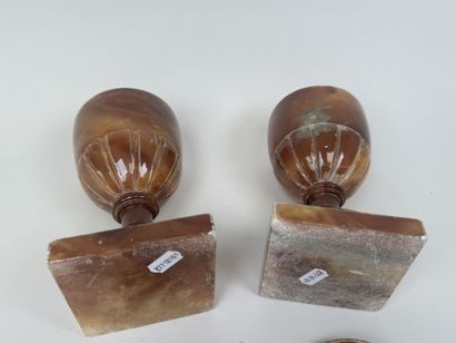 Paire de vases Médicis en albâtre à décor...