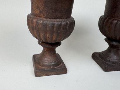Paire de petits vases Médicis en fonte à...
