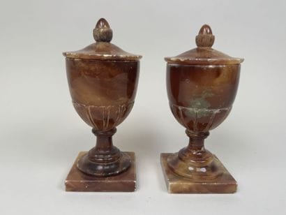 Paire de vases Médicis en albâtre à décor...