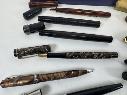 PARKER, WATERMAN'S, EDACOTO, ANGELLOR, etc...
Collection...
